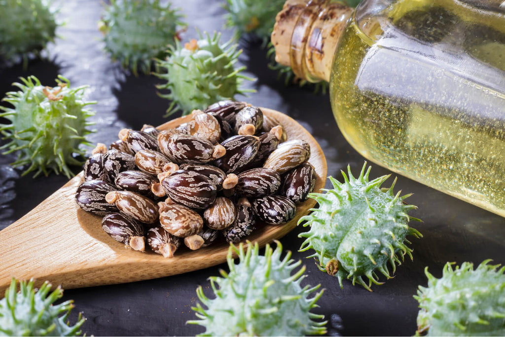 The Science of Castor Oil: Unveiling Its Health Benefits
