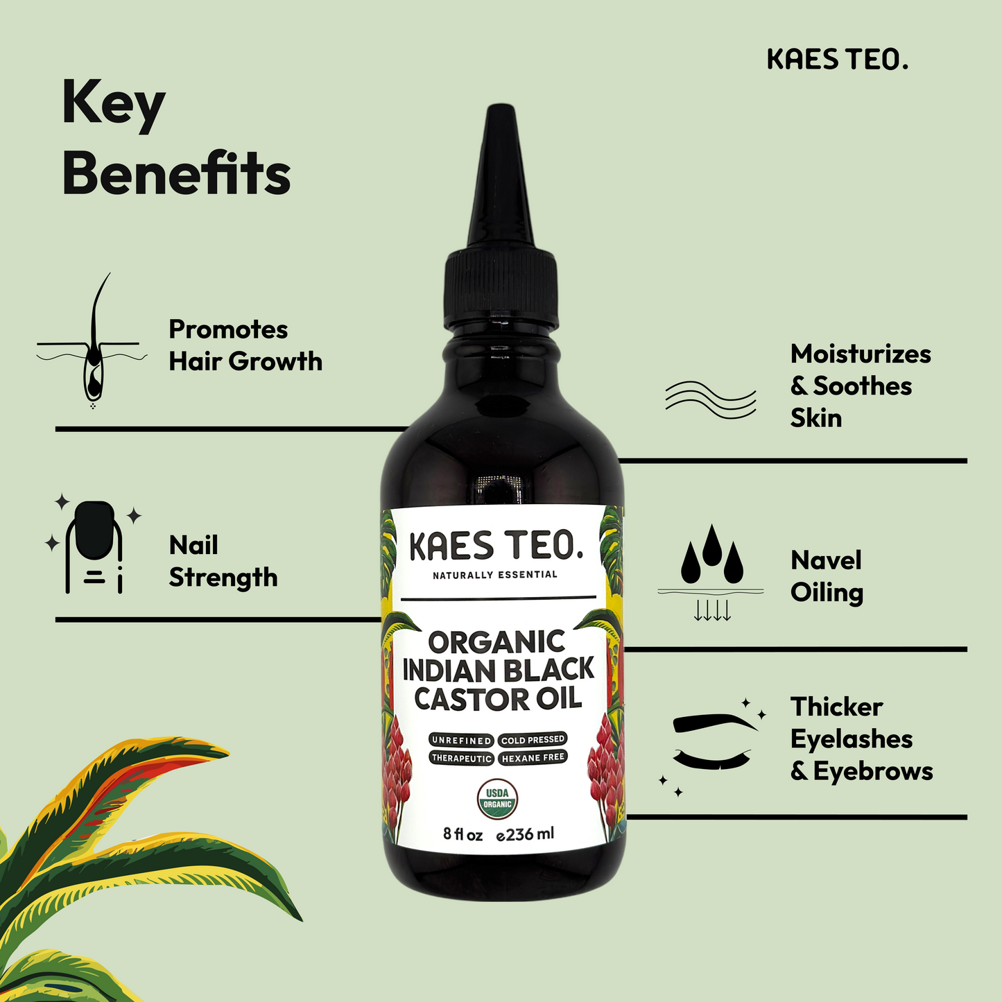 Organic Indian Black Castor Oil