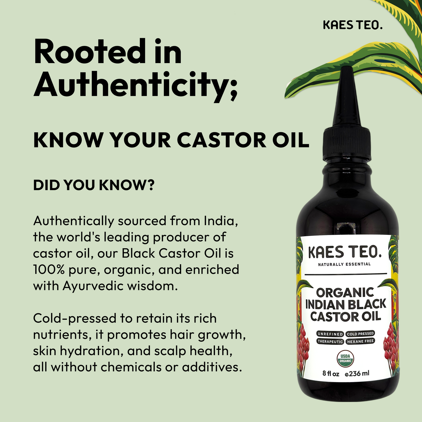 Organic Indian Black Castor Oil
